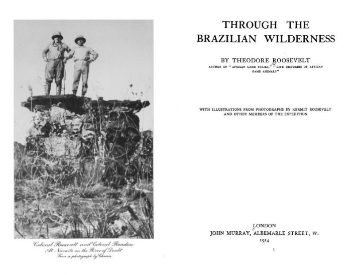 https://literaturabrasileira.ufsc.br/_images/obras/67fed26ea2cd2.jpg