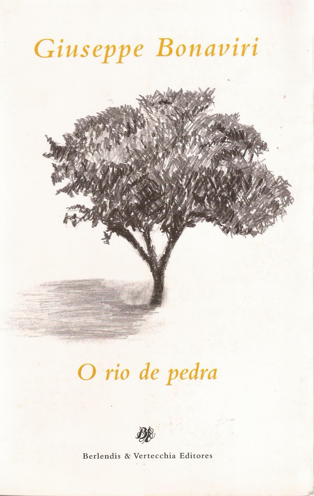 https://www.literaturabrasileira.ufsc.br/_images/obras/o_rio_de_pedra_2002.jpg